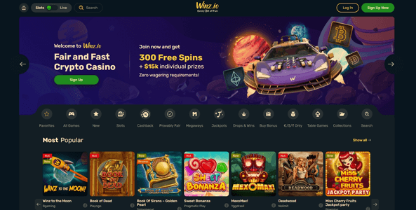 winz casino website screen 2022