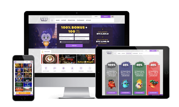 cryptowild casino website screens