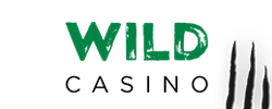 WildCasino.ag Logo