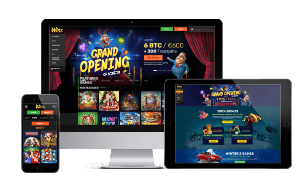 winz casino website review