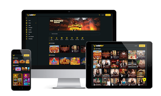 wildbet casino website screens